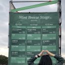 지평선한의원 | 뷰민라 2025 뷰티풀 민트 라이프 페스티벌 Beautiful Mint Life 2025 후기