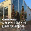 초지항 | 강화도 초지항 근처 데이트코스 :: 메타포레스트 :: 크리스마스 분위기 숲뷰 카페 애견동반