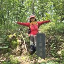 대전둘레산길(7구간) 이미지