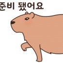 스타복싱클럽 이미지