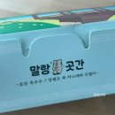 강릉 중앙시장 맛집 말랑곳간 카스테라 인절미 후기
