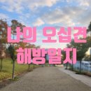 대구어깨통증 오십견 나의 해방일지