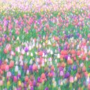 마음튼튼의원 이미지