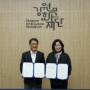 강원디자인 이미지