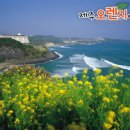 ㈜오렌지렌트카 이미지