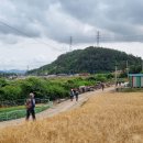 금호교차로~금호방조제 이미지