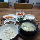 똘이네 코다리
