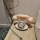 셀린트(CELINT) 이미지