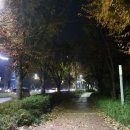 광주공연 문화예술회관 창극 효심청 관람 후기