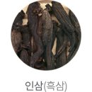 스튜디오그린 - 제주시 구산로 49 | 스튜디오그린