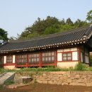 순천-31호 이미지
