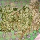 삼지목장 이미지