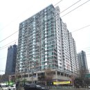 선식당 | 문래 맛집 선식당 방문 후기_그릴스테이크샐러드 &amp; 봉골레파스타 솔직 리뷰