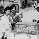 1960 이미지