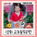 시즌아이PC방 강릉교동점 | 🌷 강릉 봄 산책 명소, 교동튤립공원 후기