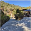 단양솔티천펜션민박 | 충북MT 자연 속 힐링, 단양 해바라기 숙소 후기