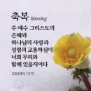 나의 물맷돌 이미지