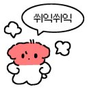 주문진 골프존 이미지