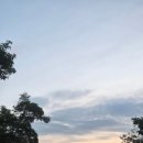 목사골 | 아이들과 힐링 캠핑, 목사골야영장 파쇄석 사이트 후기