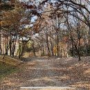 매홀초등학교 이미지