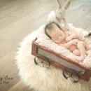 예술사진관 이미지