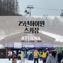 비고리조트 19 | 정선 하이원 스키장 썰매장 개장일 리조트 셔틀버스 리프트권