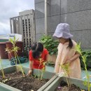 금천아람어린이집 이미지