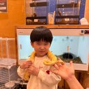 봉산동 강아지 | 대전 애니멀스타 아기랑 먹이체험 가능한 봉산동 카페