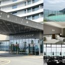통영 스탠포드 호텔 앤 리조트 숙소 수영장 조식 이용 후기