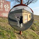 철새보는집 | 창원 가볼만한 곳 | 🔭주남저수지와 팽나무 산책 코스 · 방문 후기