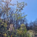 승학산 배드민턴장 이미지