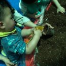 꼬모어린이집 이미지