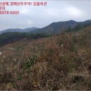 삼산면-1 이미지