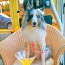 호두마루의 간식공장 이미지