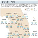 베스트금빛태권도