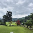 지에스25평촌길목점 | 오크밸리 키즈카페 바운스 슈퍼파크 키즈 이용후기 4~6세 아이 놀기 좋아요!