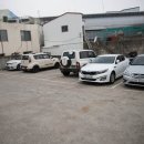 백종원의 3대천왕 제주도 통닭, 백양닭집