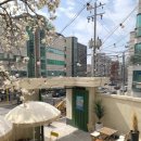 빈스로드 이미지