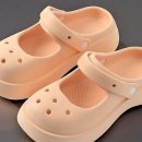 주식회사 아쿠아트리 이미지