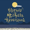 일산낚시점 이미지