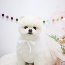 그루멍 이미지