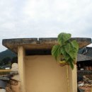 문필봉민박 이미지