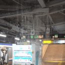 shower 이미지