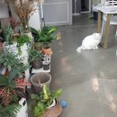 흥덕초등학교 정문 앞 이미지