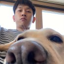 로즈멍 이미지