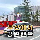 부산에서 강원랜드까지 택시 타는 VIP 승객