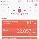 La La Land 이미지