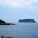 제주 삼도파초일엽 자생지 이미지