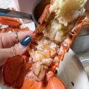 주식회사 킹크랩대게전문점 이미지