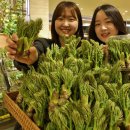 롯데백화점 이미지